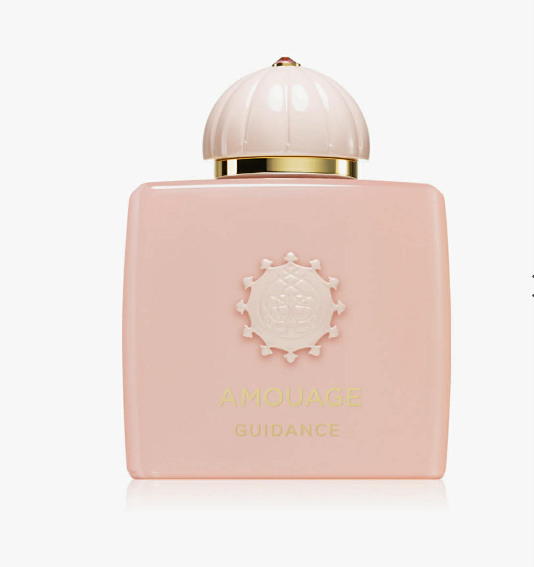 Amouage GUIDANCE