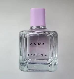 Gardenia Zara